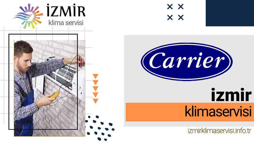 Güzelbahçe Carrier Servisi